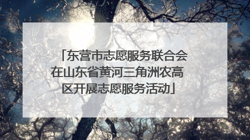 东营市志愿服务联合会在山东省黄河三角洲农高区开展志愿服务活动
